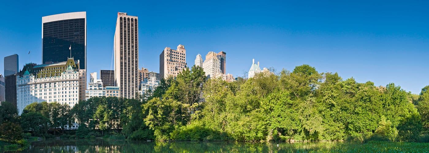 City skyline with pond